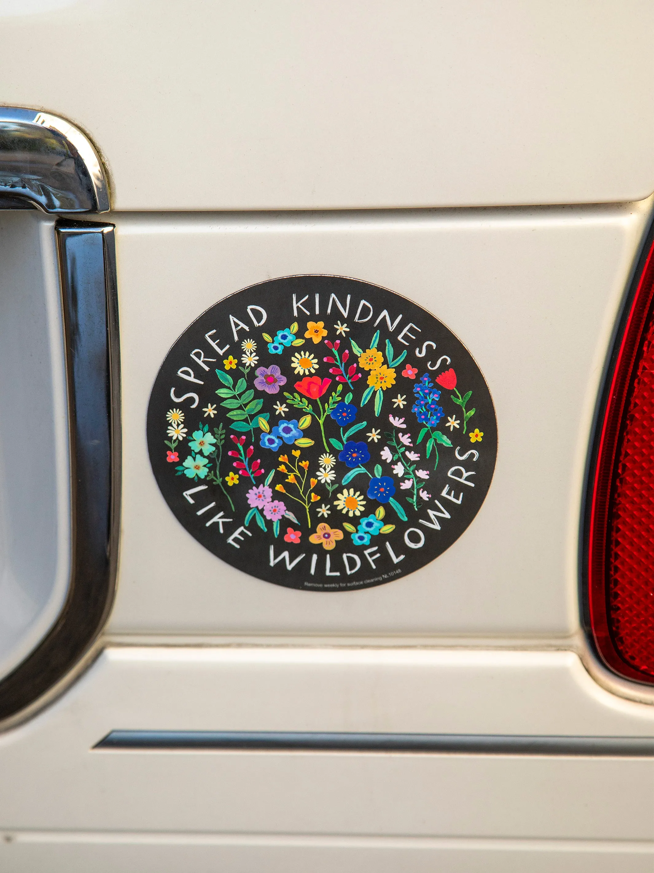 Car Magnet - Spread Kindness